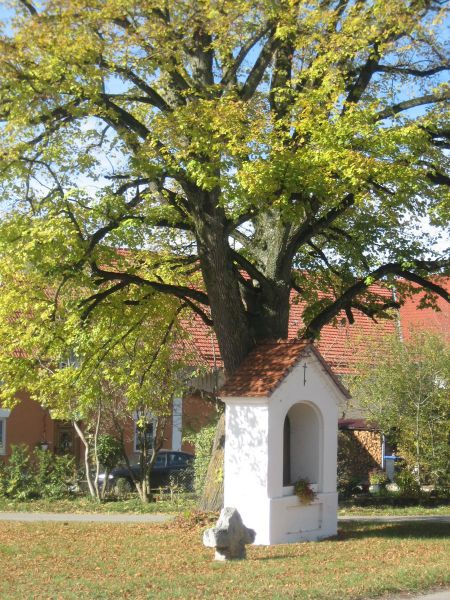 Apfeltrach Gemeinde Apfeltrach